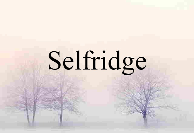 Selfridge (noun) Definition, Meaning & Examples