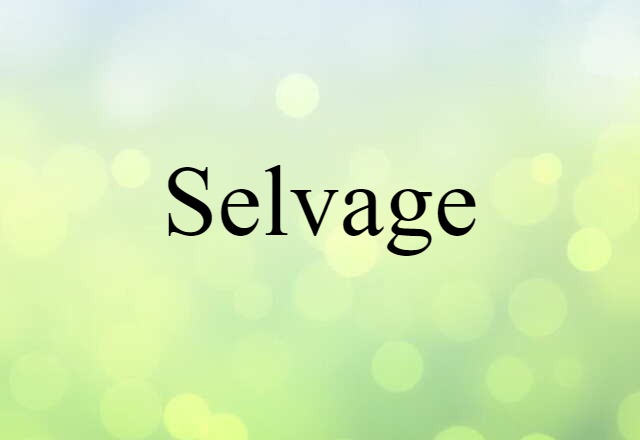 Selvage (noun) Definition, Meaning & Examples