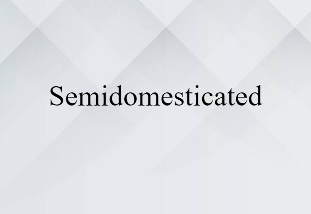 Semidomesticated (noun) Definition, Meaning & Examples