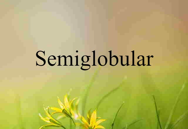 semiglobular