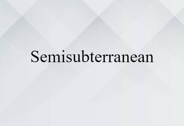 Semisubterranean (noun) Definition, Meaning & Examples