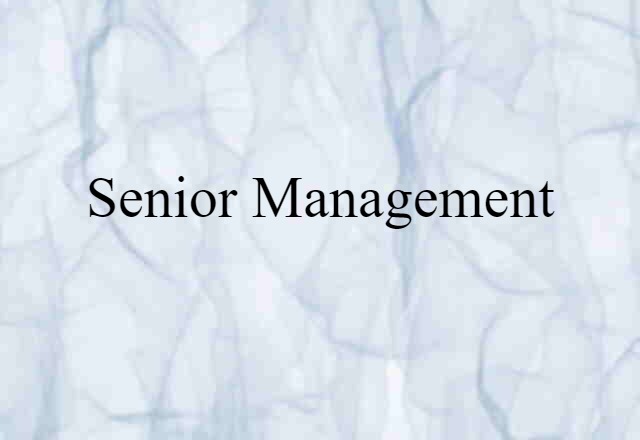 senior management