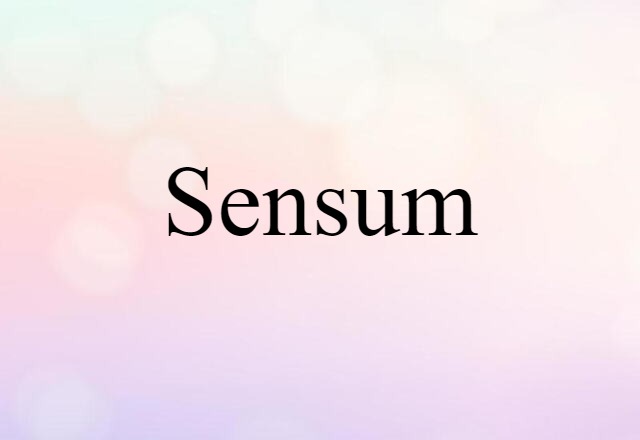 Sensum (noun) Definition, Meaning & Examples