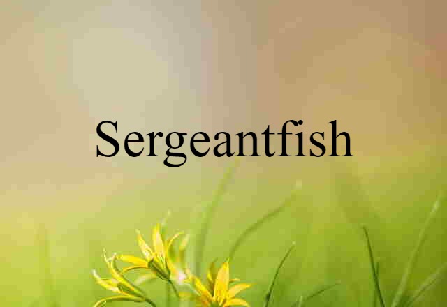 sergeantfish