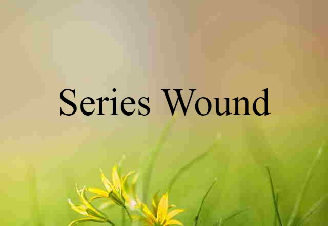 Series Wound (noun) Definition, Meaning & Examples