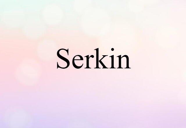 Serkin (noun) Definition, Meaning & Examples