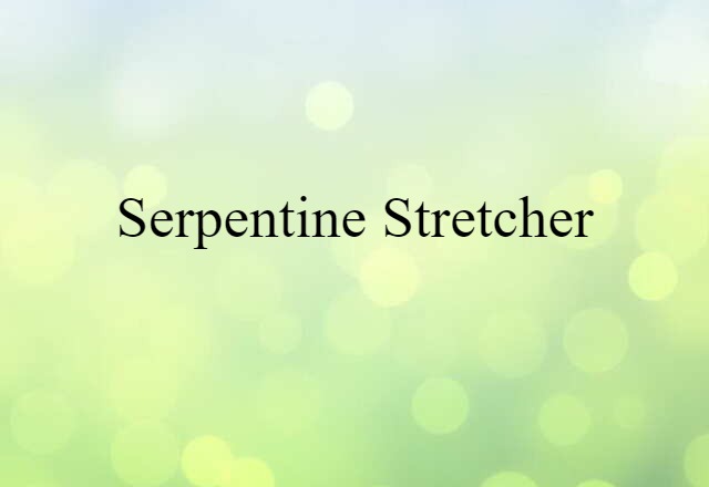 Serpentine Stretcher (noun) Definition, Meaning & Examples