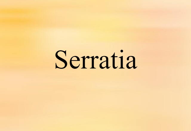 Serratia