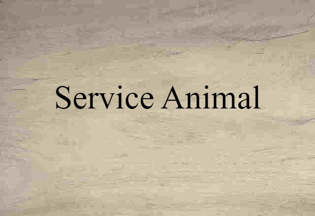 service animal