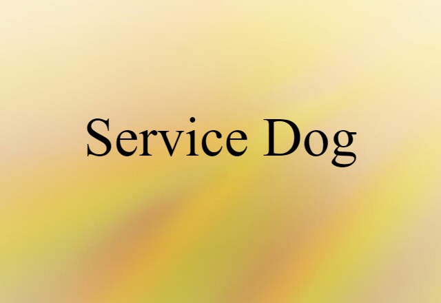 Service Dog (noun) Definition, Meaning & Examples