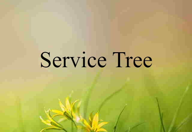 service tree