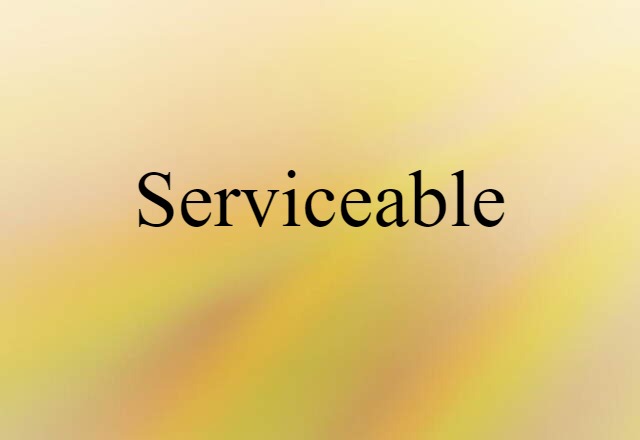 Serviceable (noun) Definition, Meaning & Examples