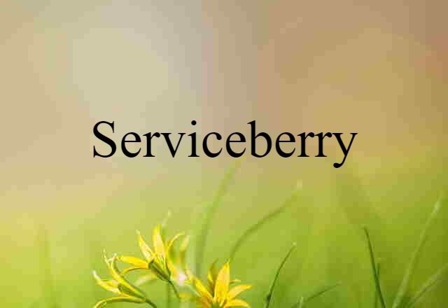 serviceberry