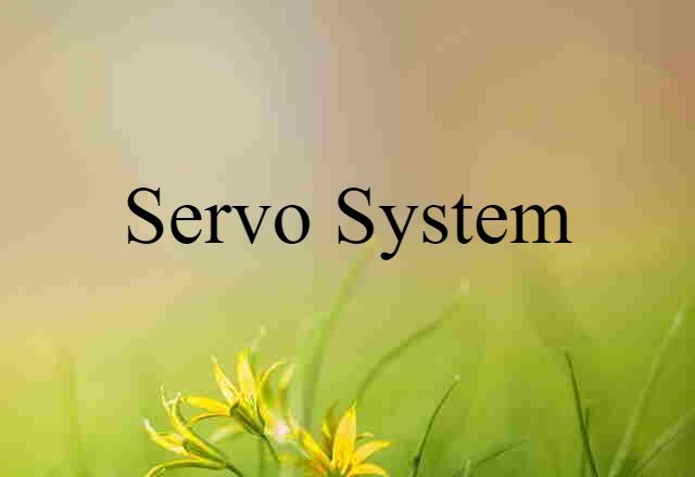 servo system