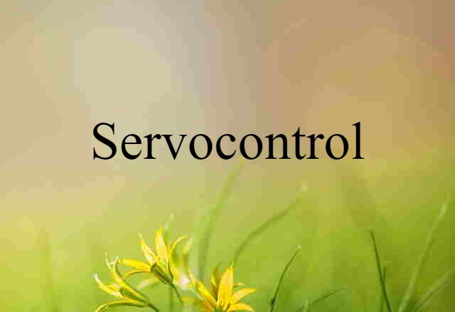 servocontrol