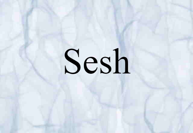 Sesh (noun) Definition, Meaning & Examples