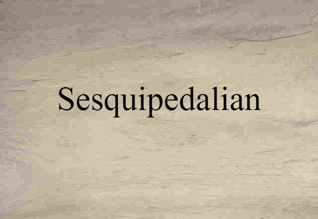 Sesquipedalian (noun) Definition, Meaning & Examples