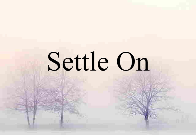 Settle On (noun) Definition, Meaning & Examples