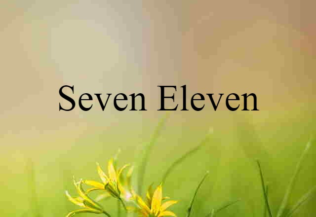 Seven Eleven (noun) Definition, Meaning & Examples