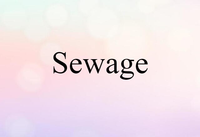 Sewage (noun) Definition, Meaning & Examples