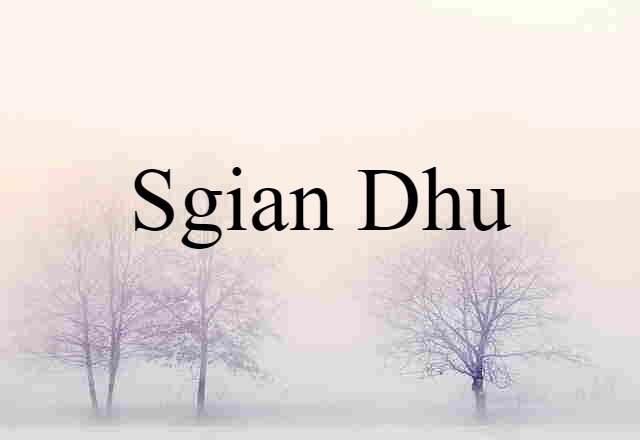 Sgian-dhu (noun) Definition, Meaning & Examples