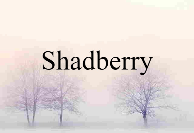 Shadberry (noun) Definition, Meaning & Examples