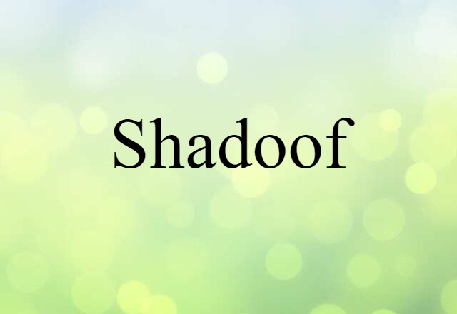 Shadoof (noun) Definition, Meaning & Examples