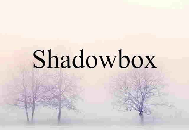 Shadowbox (noun) Definition, Meaning & Examples