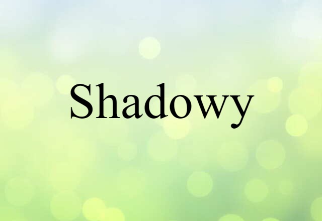 Shadowy (noun) Definition, Meaning & Examples