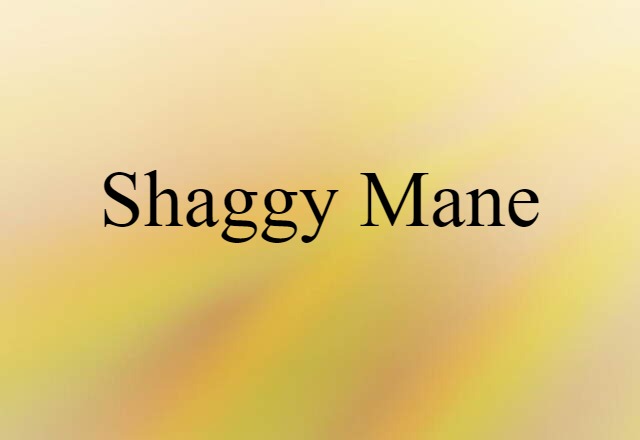 shaggy-mane