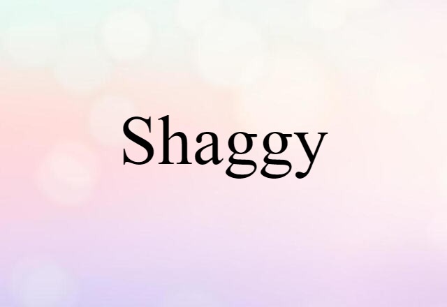 Shaggy (noun) Definition, Meaning & Examples