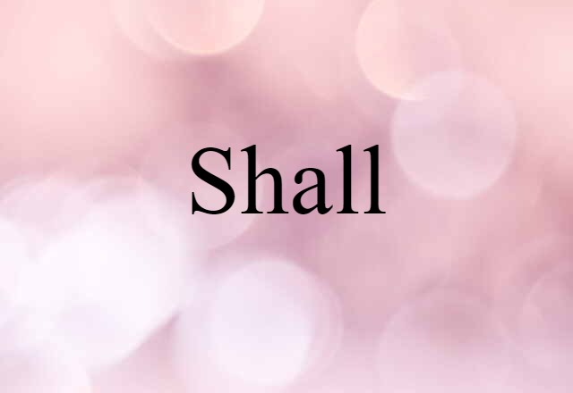 Shall (noun) Definition, Meaning & Examples