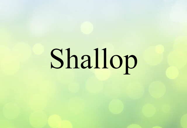 shallop