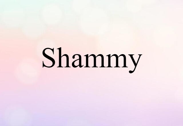 Shammy (noun) Definition, Meaning & Examples