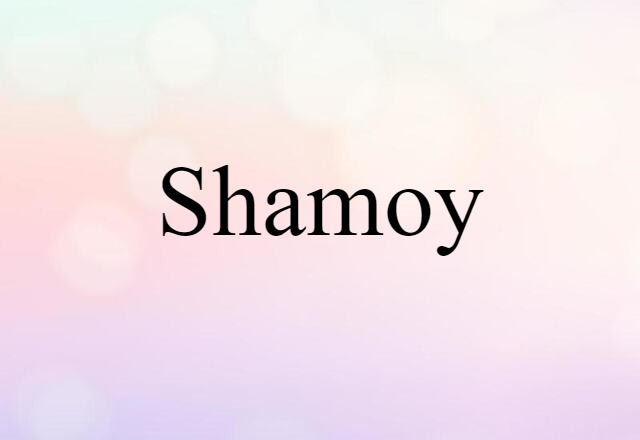 Shamoy (noun) Definition, Meaning & Examples