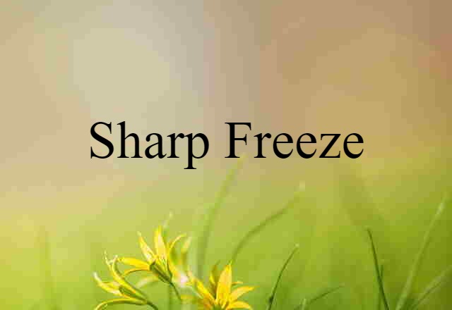 sharp freeze