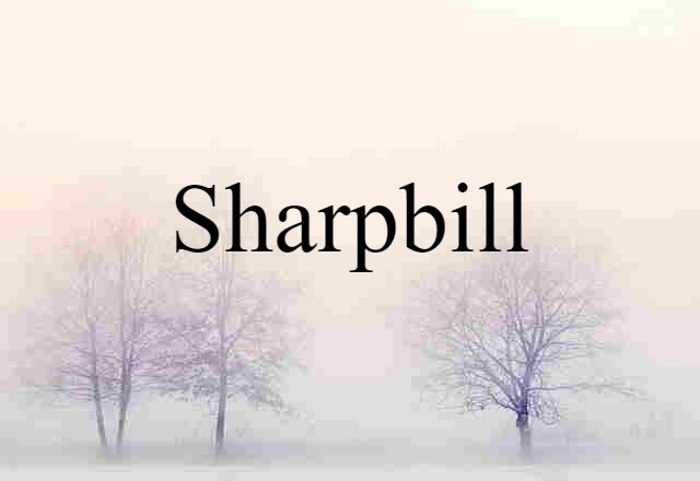 Sharpbill (noun) Definition, Meaning & Examples