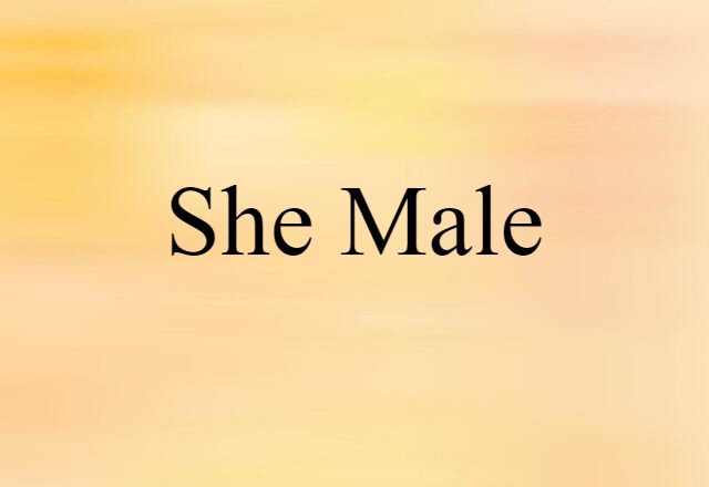 She-male (noun) Definition, Meaning & Examples