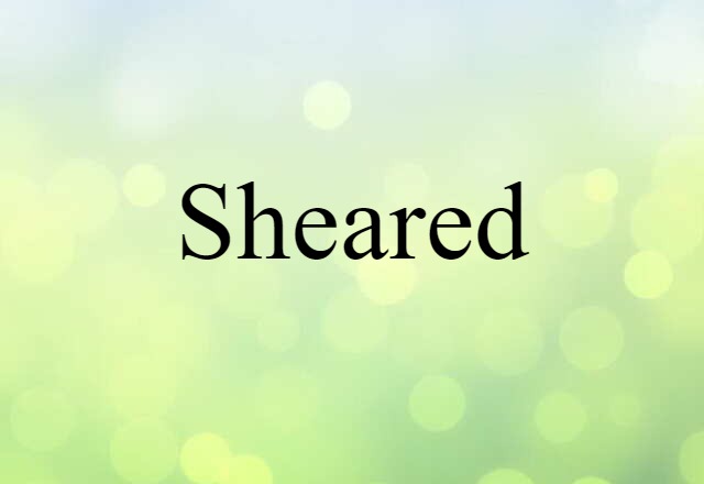 sheared