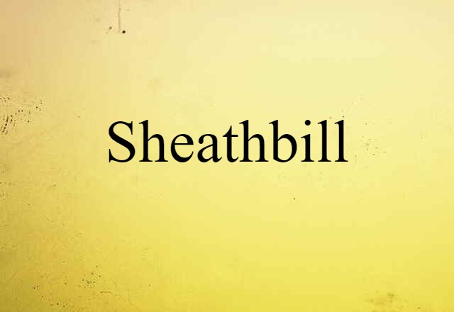 sheathbill