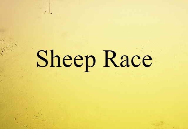 sheep race