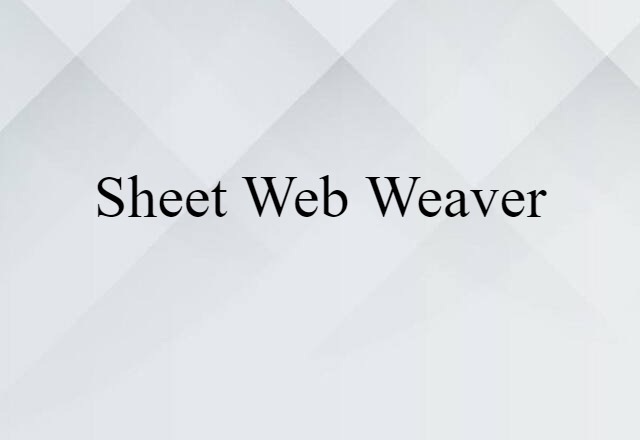 sheet web weaver