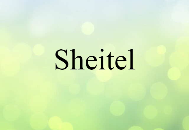 Sheitel (noun) Definition, Meaning & Examples