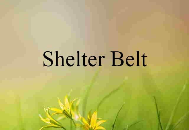 shelter belt