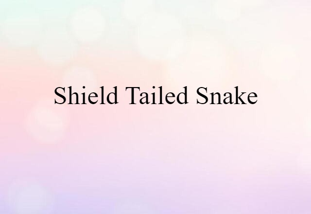 shield-tailed snake