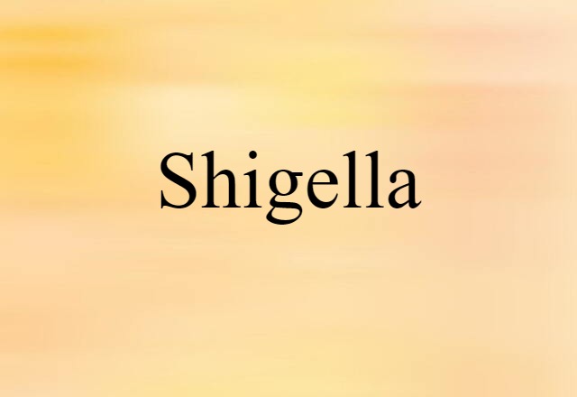 shigella