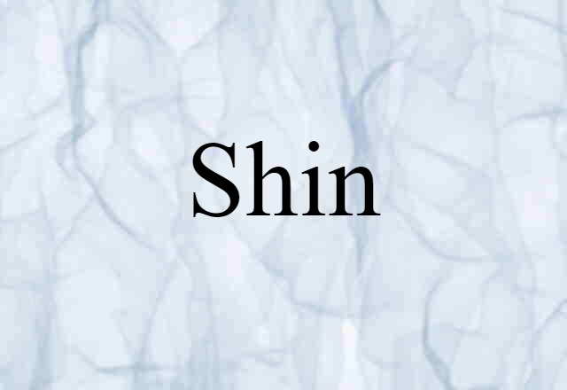 Shin (noun) Definition, Meaning & Examples