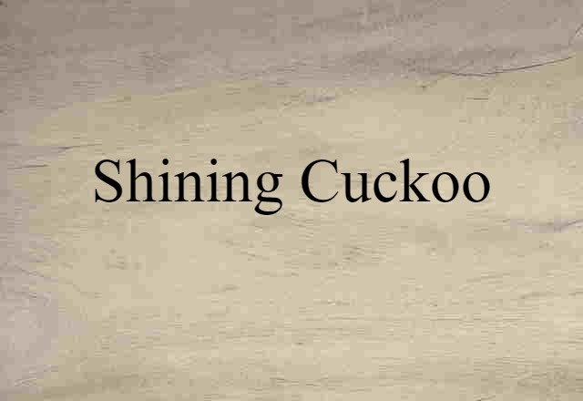 shining cuckoo