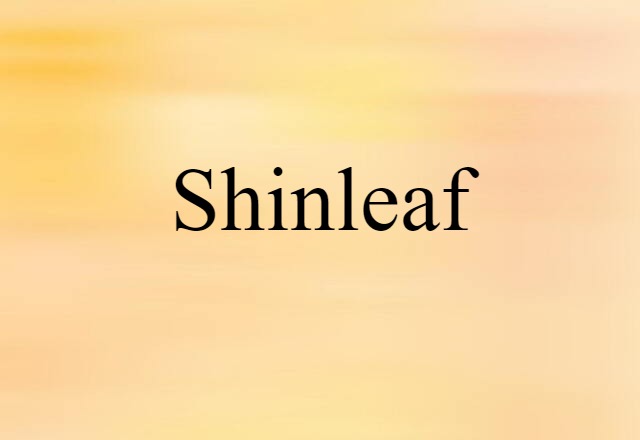 Shinleaf (noun) Definition, Meaning & Examples