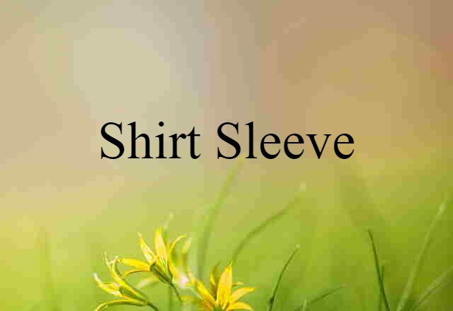 Shirt-sleeve (noun) Definition, Meaning & Examples